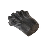 Lion Paw