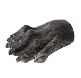 Lion Paw