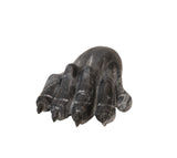 Lion Paw
