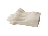 Lion Paw