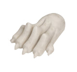Lion Paw